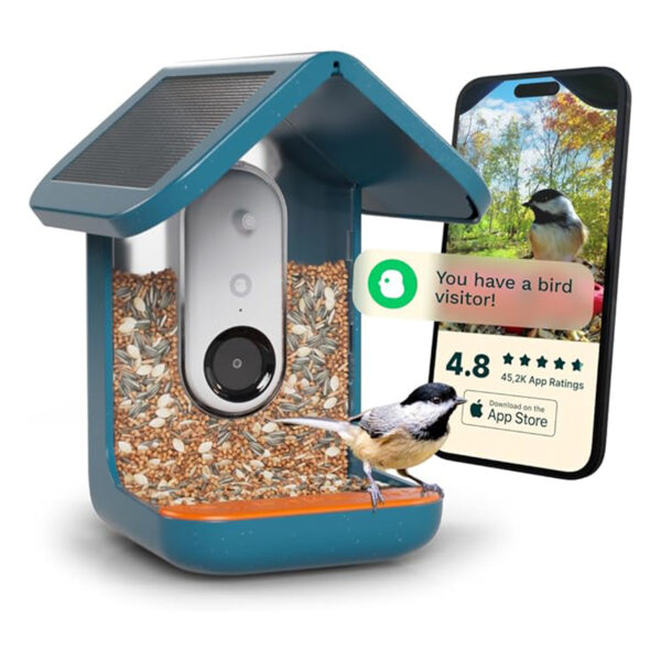 Original Solar Bird Feeder